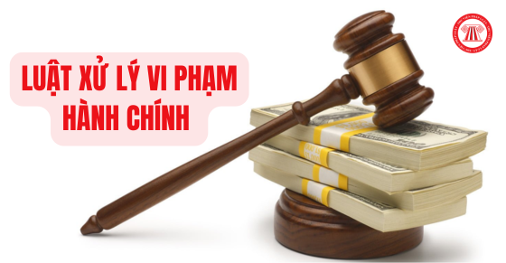 Luật Xử lý vi phạm hành chính mới nhất 2025 và tổng hợp văn bản hướng dẫn 