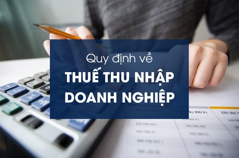Chi tiết các trường hợp tính thuế thu nhập doanh nghiệp dựa trên doanh thu (đề xuất) (Hình ảnh từ Internet)