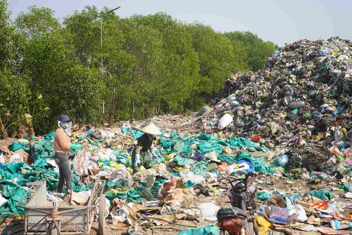 Bổ sung biện pháp xử lý, cưỡng chế thi hành quyết định xử lý vi phạm hành chính gây ô nhiễm môi trường trong năm 2025 (Hình ảnh từ Internet)