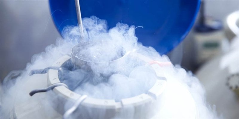 Đã có hướng giải quyết trường hợp người gửi tinh trùng, noãn, phôi chết, ly hôn mới nhất (Hình ảnh từ Internet)