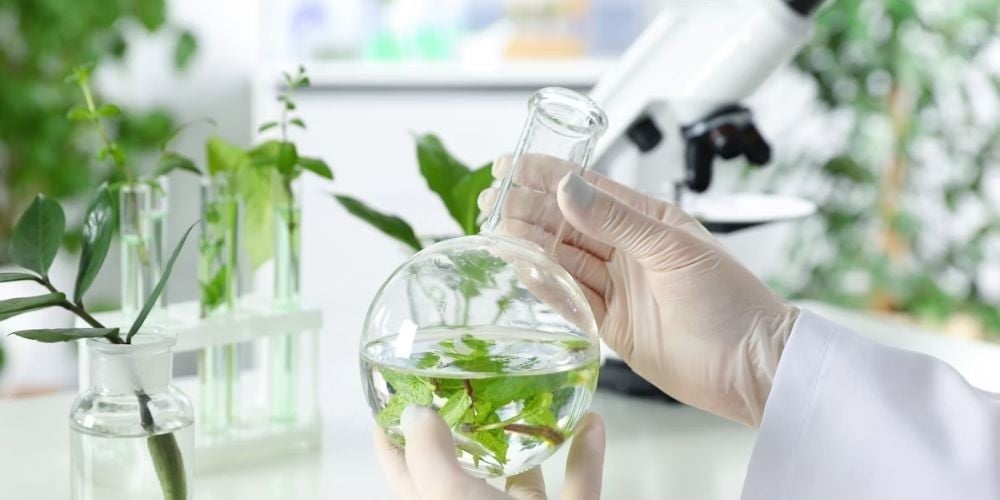Nhiên liệu sinh học là gì?