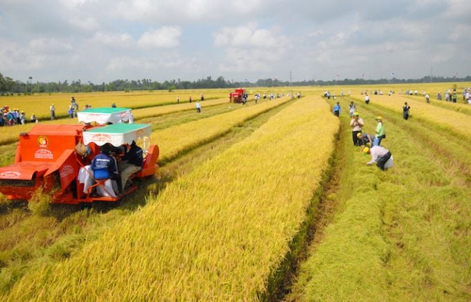Đề xuất miễn thuế sử dụng đất nông nghiệp với một số đối tượng (Hình ảnh từ Internet)