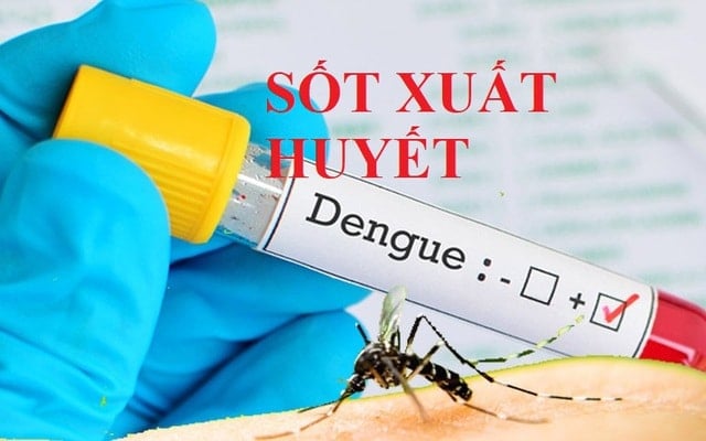 Toàn văn Công điện 116/CĐ-TTg về việc tăng cường công tác phòng chống bệnh sốt xuất huyết (Hình ảnh từ Internet)