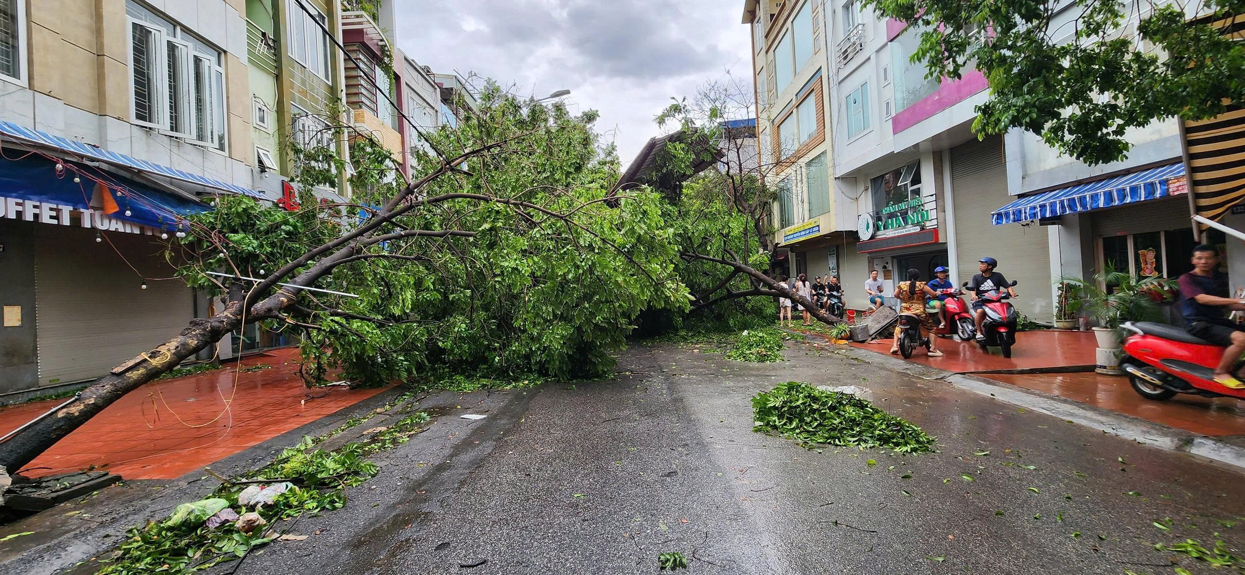 Công văn 1819/TTTN-VP: Đảm bảo nguồn cung hàng hóa thiết yếu sau bão số 3 Wipha