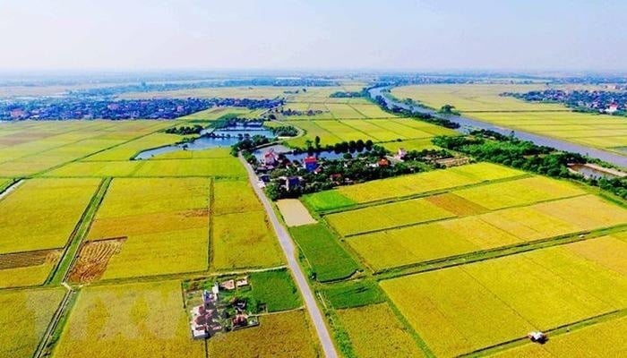 Rà soát, đánh giá thi hành Luật Đất đai 2024 để kiến nghị sửa đổi, bổ sung (Công văn 6891/VPCP-QHĐP)