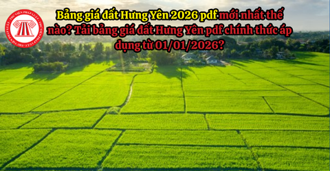 Bài Viết Bản Án
