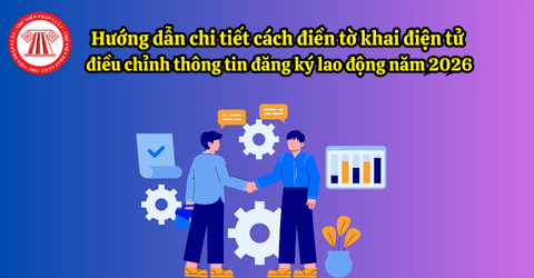Hướng dẫn chi tiết cách điền tờ khai điện tử điều chỉnh thông tin đăng ký lao động năm 2026