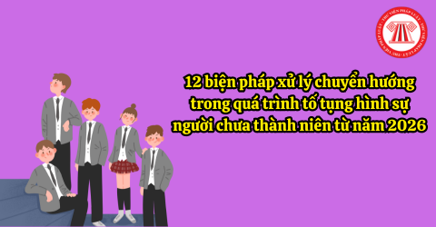 12 biện pháp xử lý chuyển hướng trong quá trình tố tụng hình sự người chưa thành niên từ năm 2026 