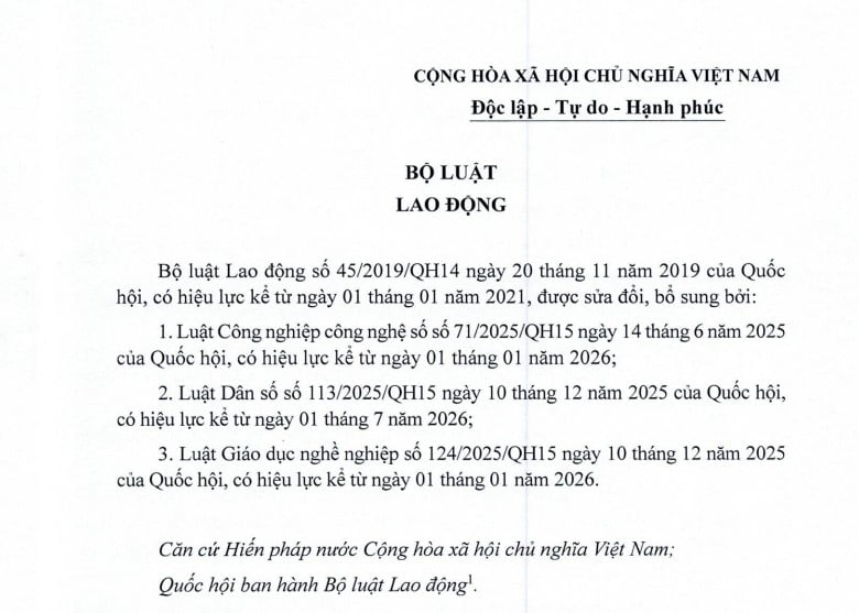 Bộ luật Lao động mới nhất 2026