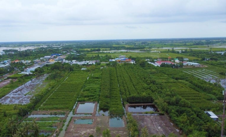 Quy định bồi thường tái định cư khi thu hồi đất tại Cà Mau