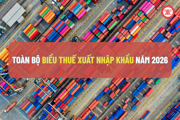 Toàn bộ Biểu thuế xuất nhập khẩu năm 2026 (Cập nhật mới nhất) 