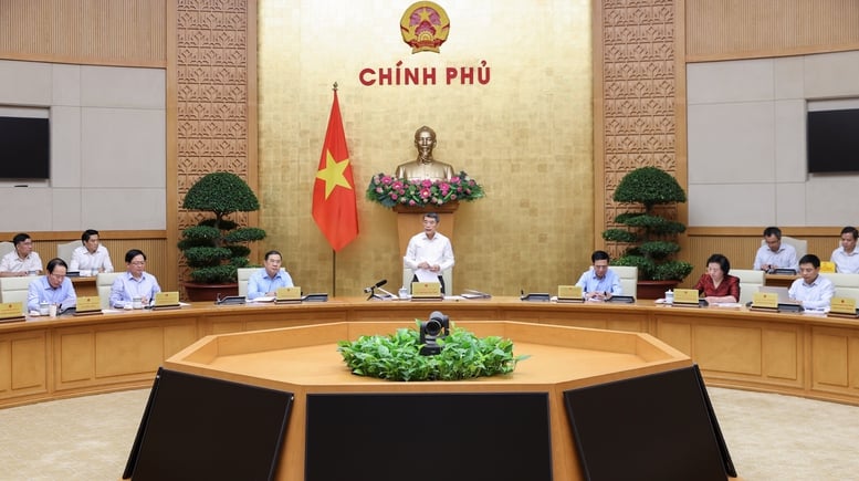Phân công nhiệm vụ các Phó Thủ tướng Chính phủ nhiệm kỳ 2026-2031