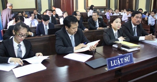 Luật sư công gồm những ai? Tiêu chuẩn luật sư công là gì theo Kết luận 23-KL/TW?