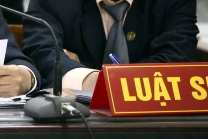 Luật sư công làm những công việc gì? (Hình ảnh từ Internet)