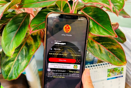 Cách xử lý khi bị khai khống thu nhập cá nhân trên eTax Mobile 2026 (Hình ảnh từ Internet)