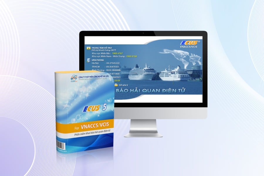 Chuyển sang sử dụng Hệ thống Ecustoms khi hệ thống thông quan VNACCS/VCIS bảo trì (Hình ảnh từ Internet)