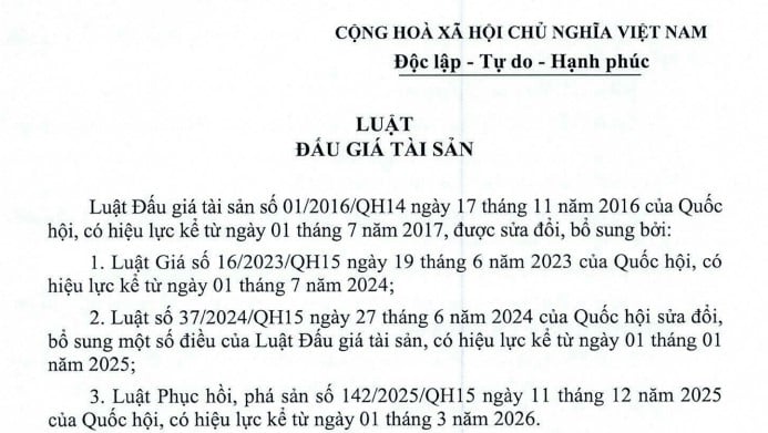 Văn bản hợp nhất Luật Đấu giá tài sản mới nhất 2026