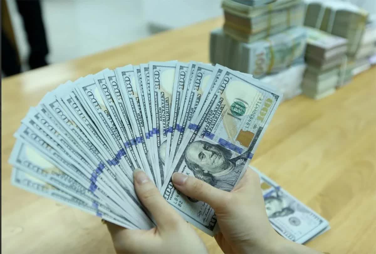 Công văn 4088 hướng dẫn xuất hóa đơn bằng USD của Thuế tỉnh Tây Ninh