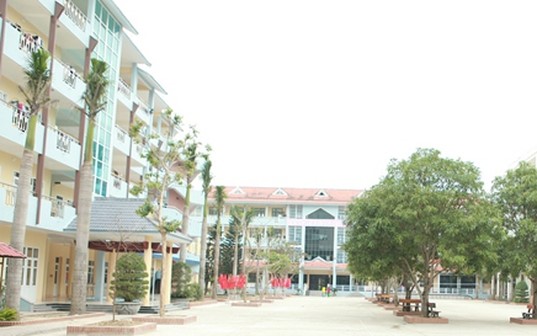 Cơ cấu tổ chức của trường dự bị đại học mới nhất 2026