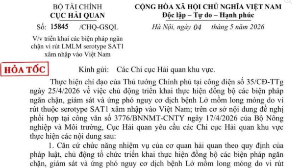 Chỉ đạo hỏa tốc triển khai các biện pháp ngăn chặn vi rút Lở mồm long móng serotype SAT1 của Cục Hải quan