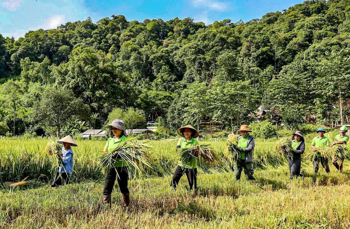 Chỉ đạo điều động cấp phó vượt số lượng quy định từ cấp tỉnh về cấp xã
