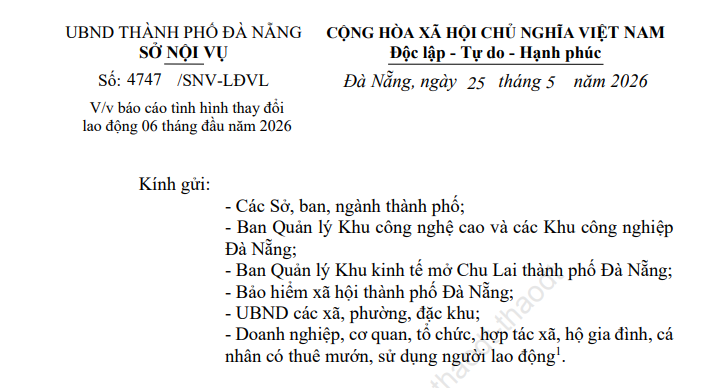 Link báo cáo tình hình sử dụng lao động 6 tháng đầu năm 2026 tại Đà Nẵng