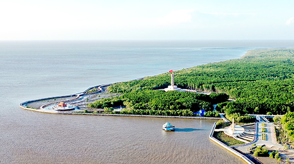 Cập nhật bảng giá đất Cà Mau 2026 từ 15/5/2026