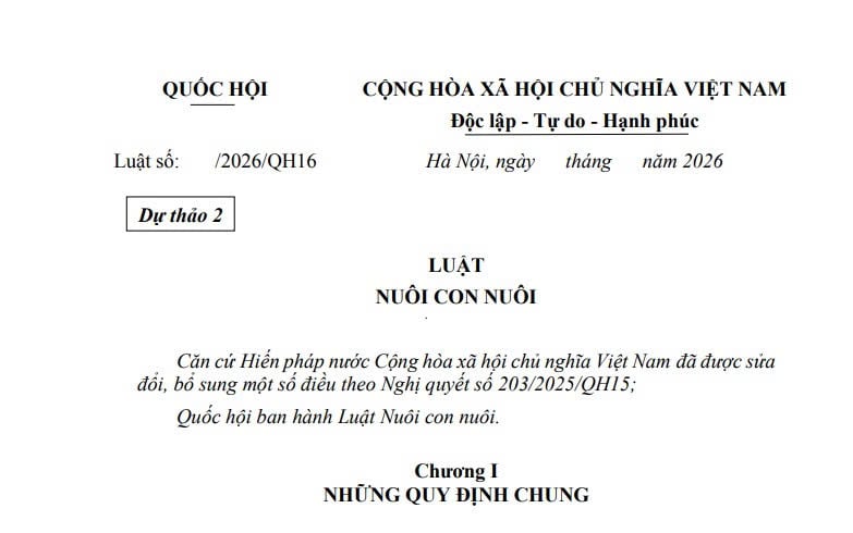 Đã có dự thảo Luật Nuôi con nuôi (sửa đổi)