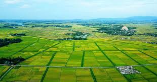 Tổng hợp Nghị quyết sửa đổi bảng giá đất 2026 của các tỉnh thành