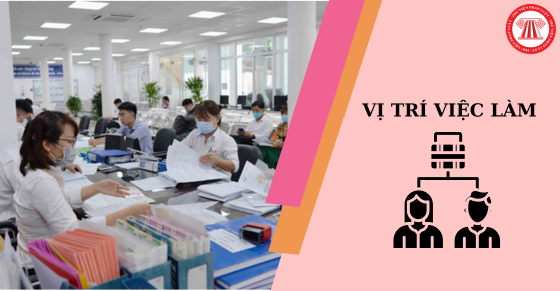 Thông tin mới nhất về 3 danh mục vị trí việc làm trong đơn vị sự nghiệp công lập (Hình ảnh từ Internet)