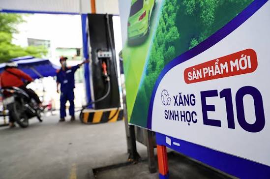 Bảng giá xăng E10 và E5 mới nhất 11/6/2026