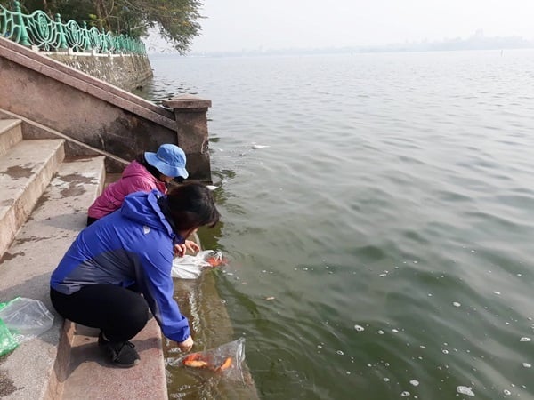 TPHCM: Hướng dẫn thực hành phóng sinh đúng cách (Kế hoạch 290/KH-UBND)