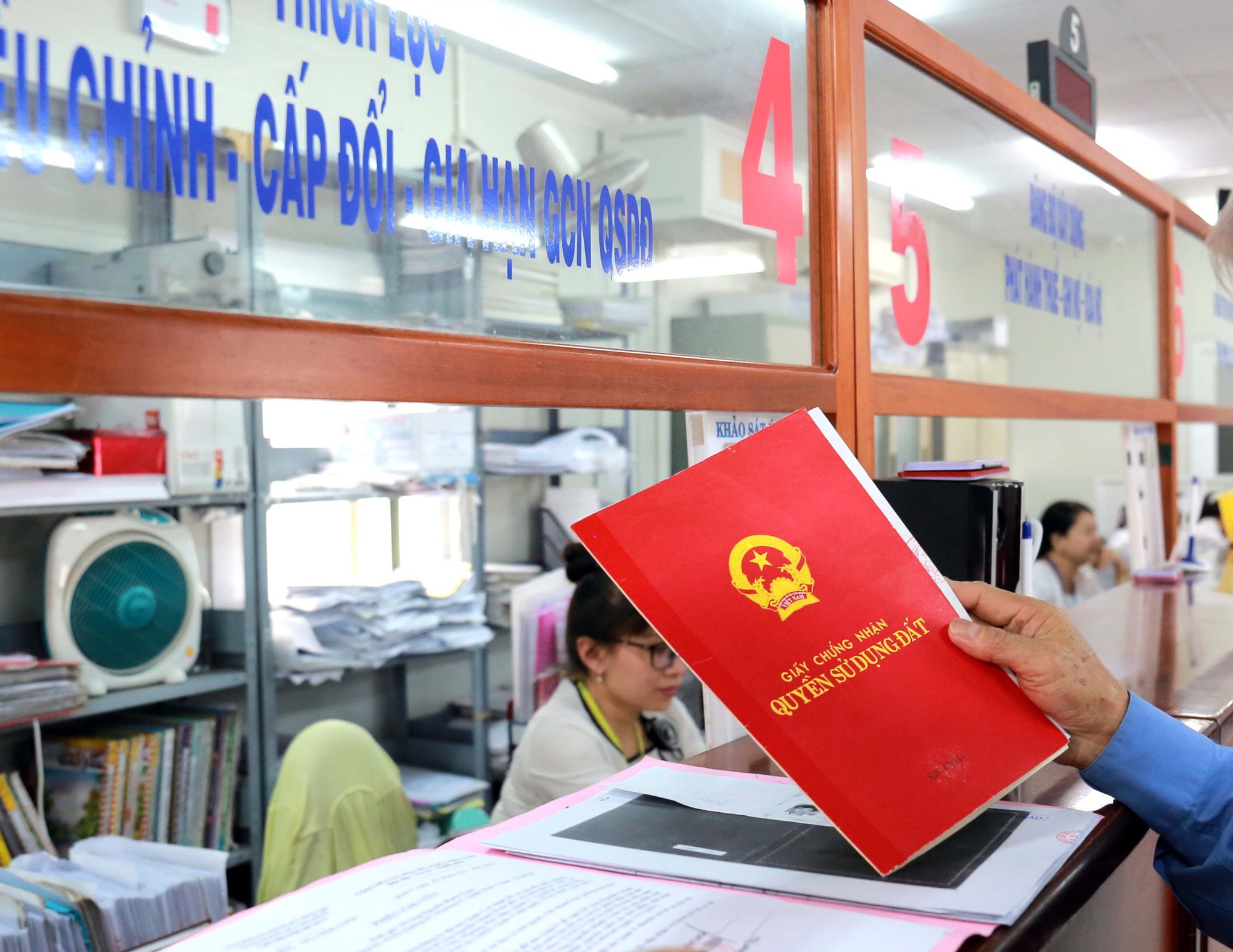 Tổng hợp Quyết định quy định thủ tục đất đai 2026 của các tỉnh thành