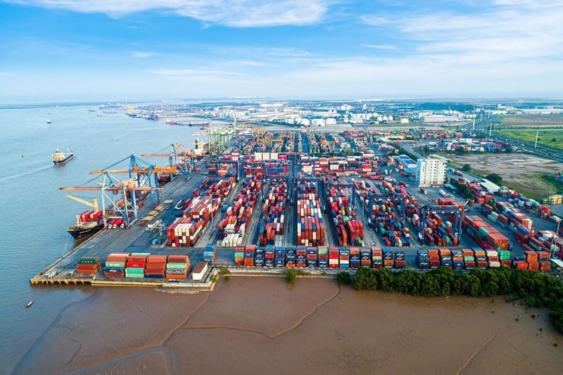 11 trường hợp được lựa chọn nơi làm thủ tục hải quan từ 14/8/2026 (Hình ảnh từ internet)