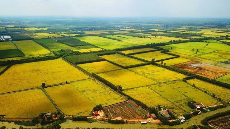Đề xuất chỉ còn 5 trường hợp chuyển mục đích sử dụng đất phải xin phép theo dự thảo Luật Đất đai 2026