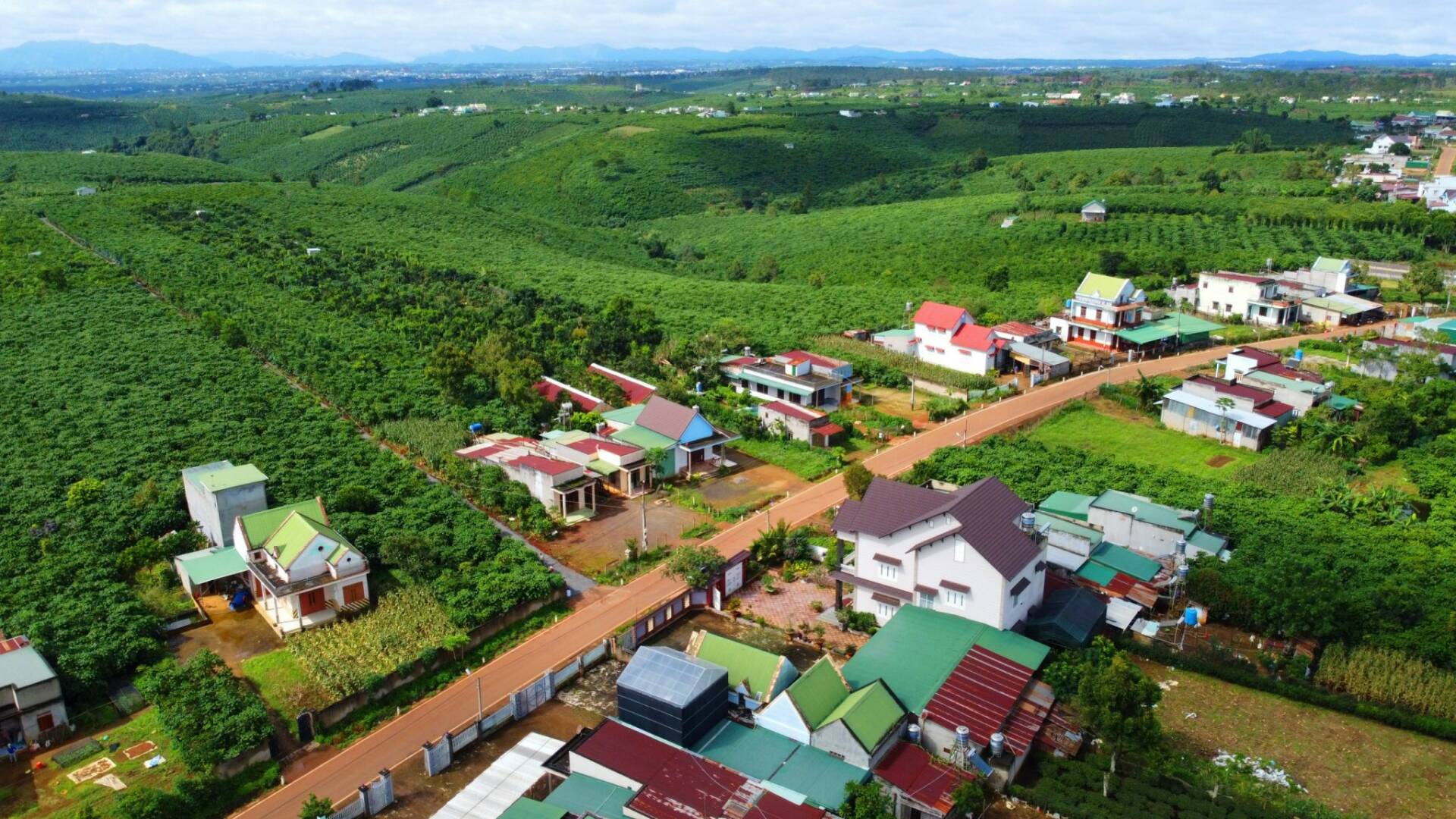 Đề xuất nguyên tắc cấp sổ đỏ theo dự thảo Luật Đất đai 2026