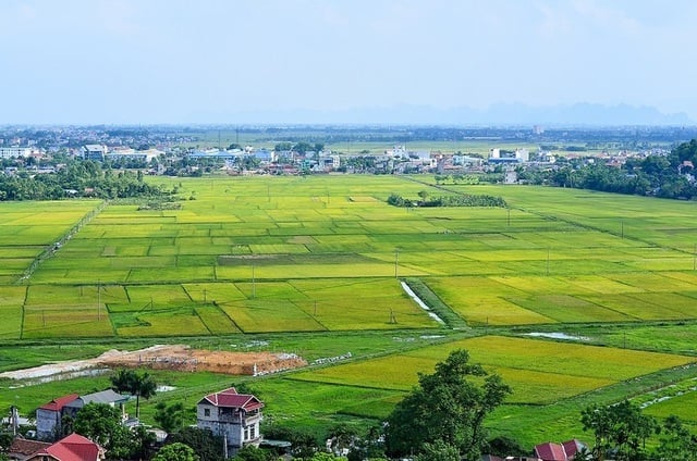 Quy định mới về gửi thông báo thu hồi đất tại TPHCM từ ngày 20/7/2026 (Quyết định 4490/QĐ-UBND)