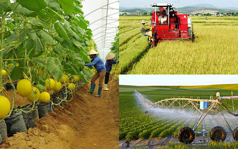 Hướng dẫn về kê khai thông tin cá nhân trong thủ tục đăng ký hợp tác xã từ ngày 23/7/2026