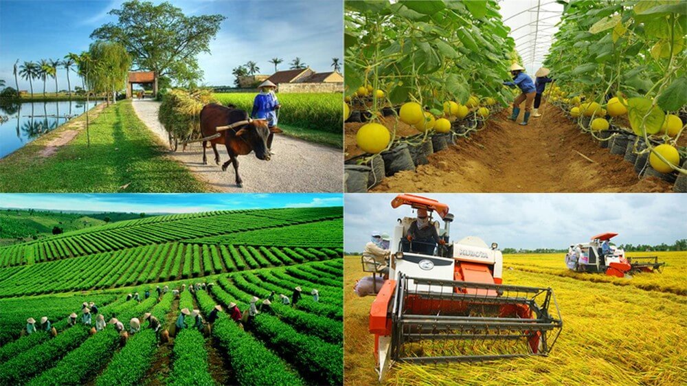 Các trường hợp từ chối cấp đăng ký tổ hợp tác và đăng ký hợp tác xã của cơ quan đăng ký kinh doanh cấp xã mới nhất 
