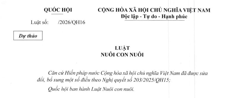 Dự thảo Luật Nuôi con nuôi năm 2026 có những nội dung gì?