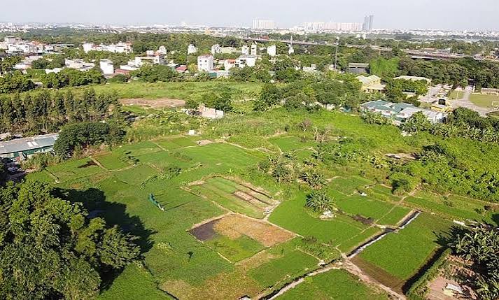 Dự thảo Quyết định thủ tục thực hiện thu hồi đất tại TPHCM